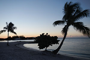 A Tranquil Massage Environment; 